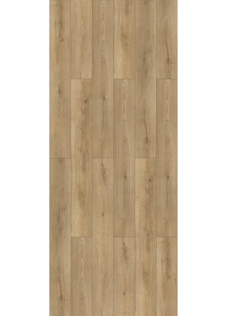 Jinhua Oak